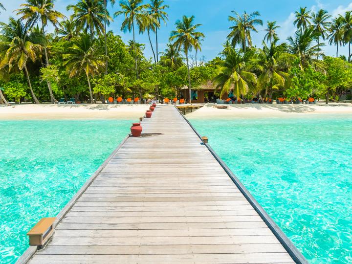 Une plage sous les tropiques