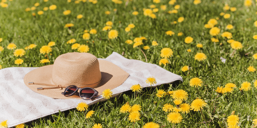 Un chapeau et des lunettes de soleil posés sur de l'herbe fleurie