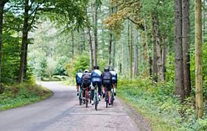 Cyclistes roulant sur une route bordée de forêt