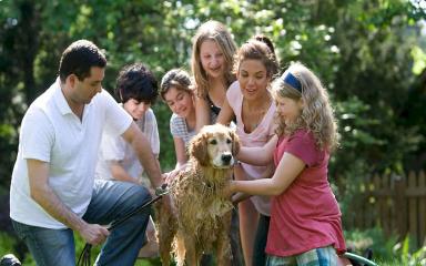 Une famille avec son chien 1024 (c) CDC
