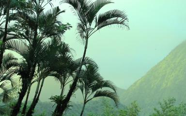 Paysage de la Martinique (c) Weronika