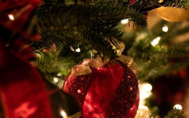 Un sapin de Noël décoré (c) Tessa Rampersad