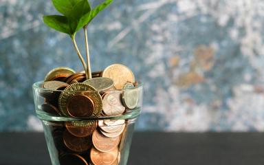 plante dans un verre plein de pièces de monnaie